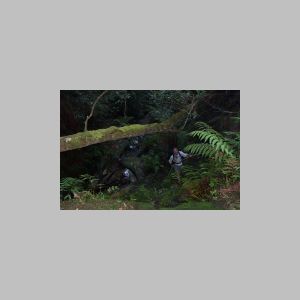 Ranon 001-HalfSize.jpg